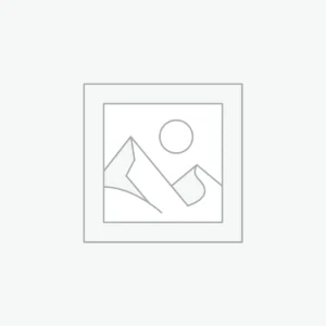 Animal Friends Coloring